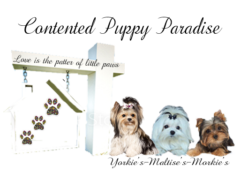 Contented Puppies Paradise